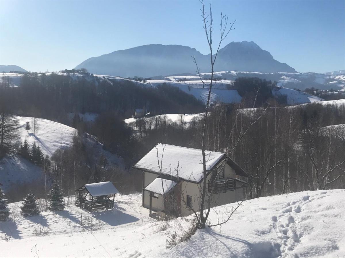 Cabana 7 Brazi Poiana Mărului Exterior foto