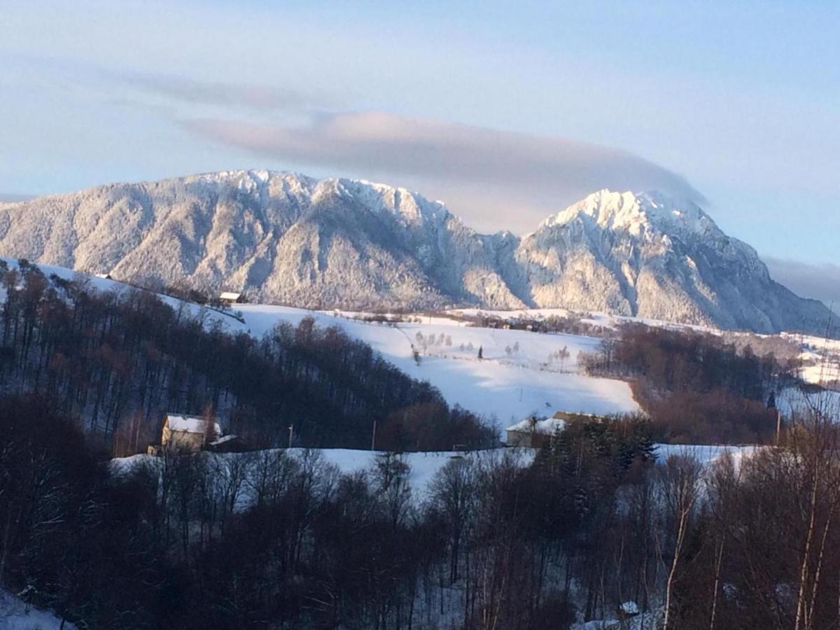Cabana 7 Brazi Poiana Mărului Exterior foto