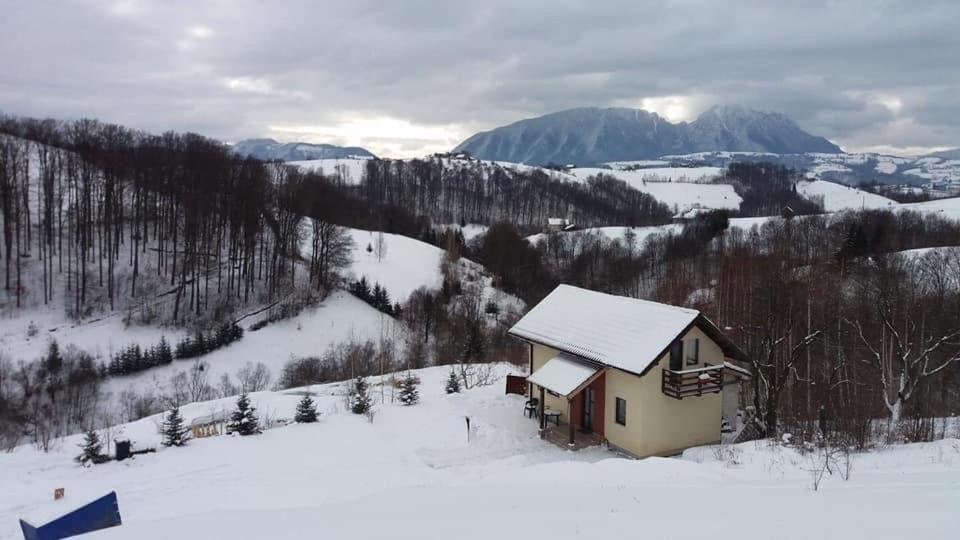 Cabana 7 Brazi Poiana Mărului Exterior foto