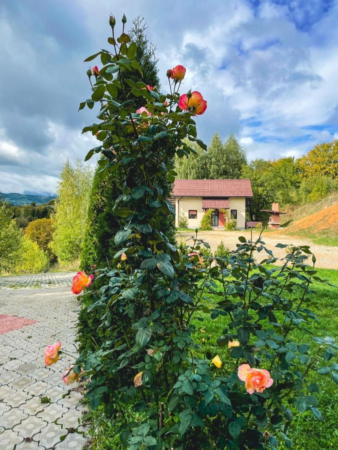Cabana 7 Brazi Poiana Mărului Exterior foto