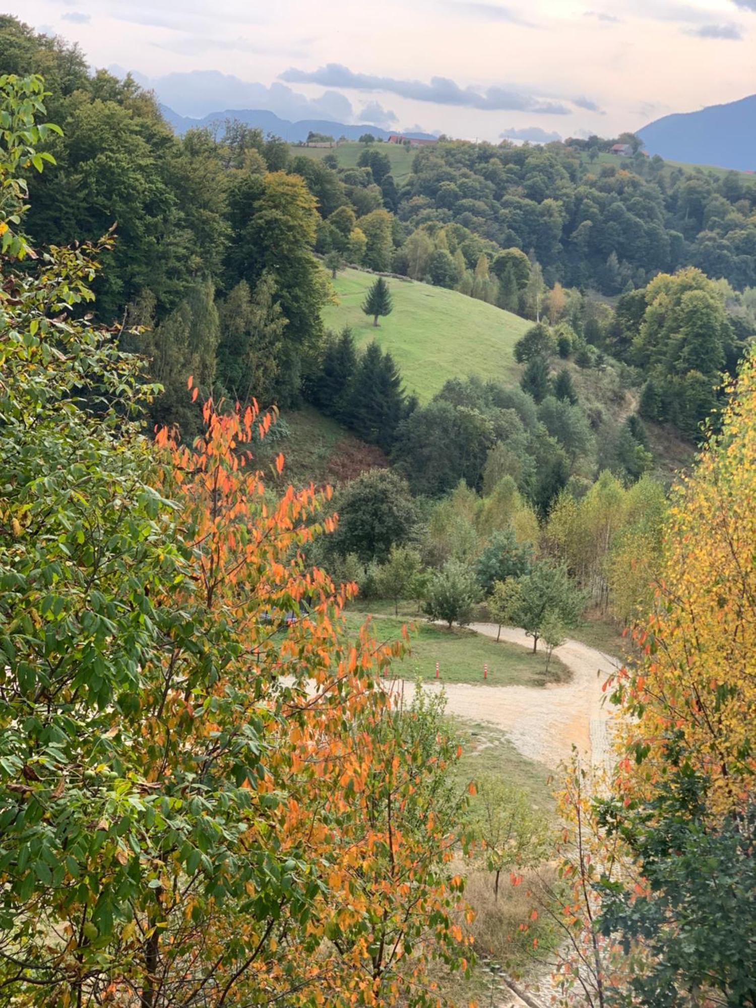 Cabana 7 Brazi Poiana Mărului Exterior foto