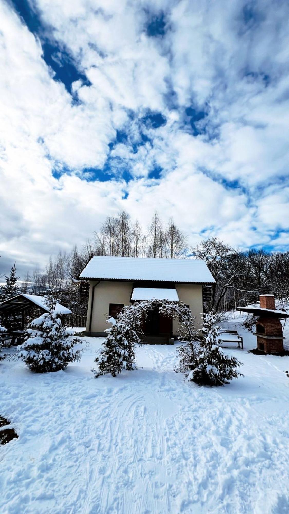 Cabana 7 Brazi Poiana Mărului Exterior foto