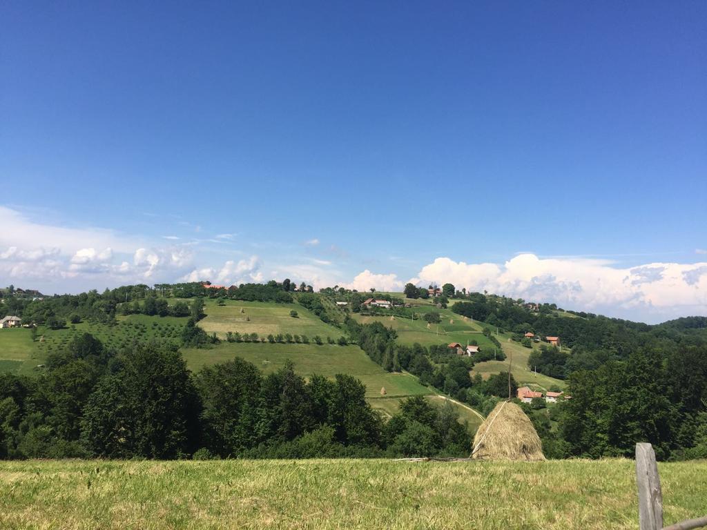 Cabana 7 Brazi Poiana Mărului Exterior foto