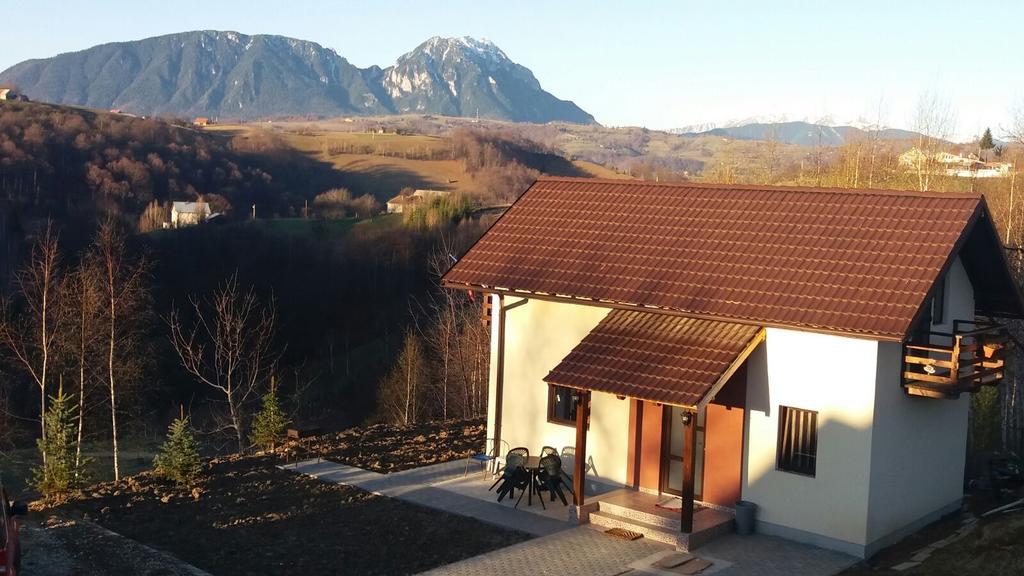 Cabana 7 Brazi Poiana Mărului Exterior foto