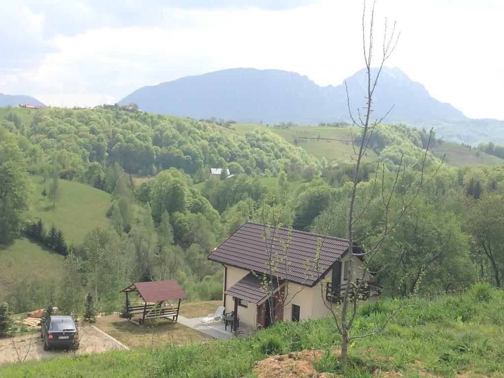 Cabana 7 Brazi Poiana Mărului Exterior foto