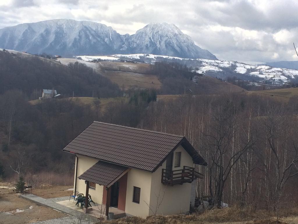 Cabana 7 Brazi Poiana Mărului Exterior foto
