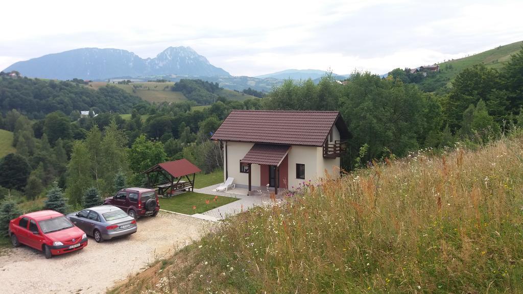 Cabana 7 Brazi Poiana Mărului Exterior foto