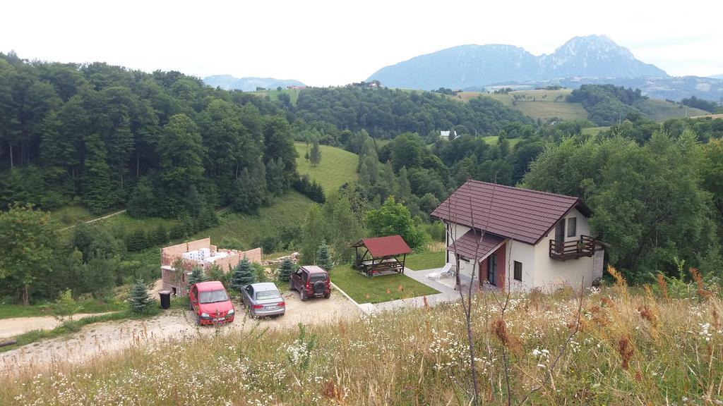 Cabana 7 Brazi Poiana Mărului Exterior foto