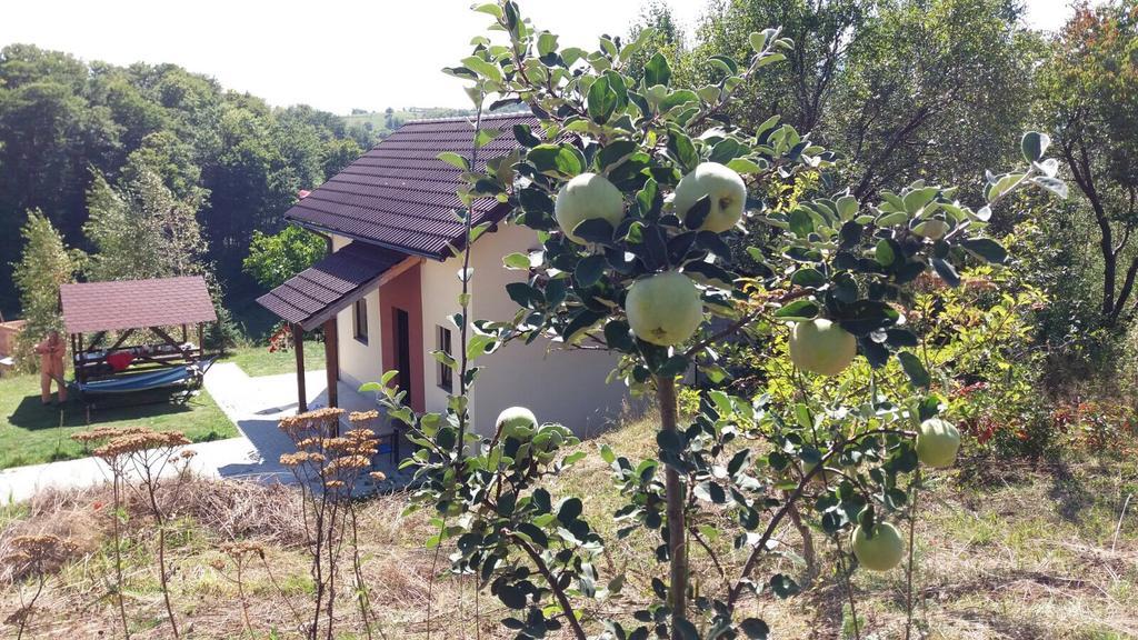 Cabana 7 Brazi Poiana Mărului Exterior foto