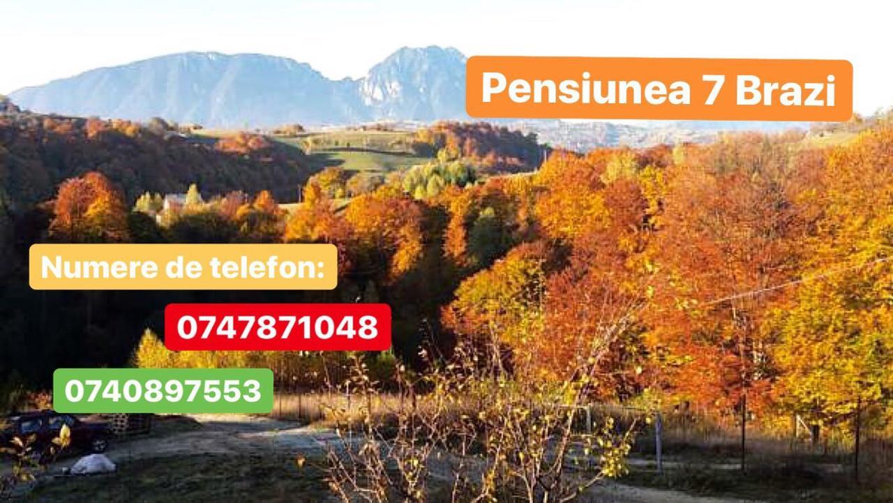 Cabana 7 Brazi Poiana Mărului Exterior foto