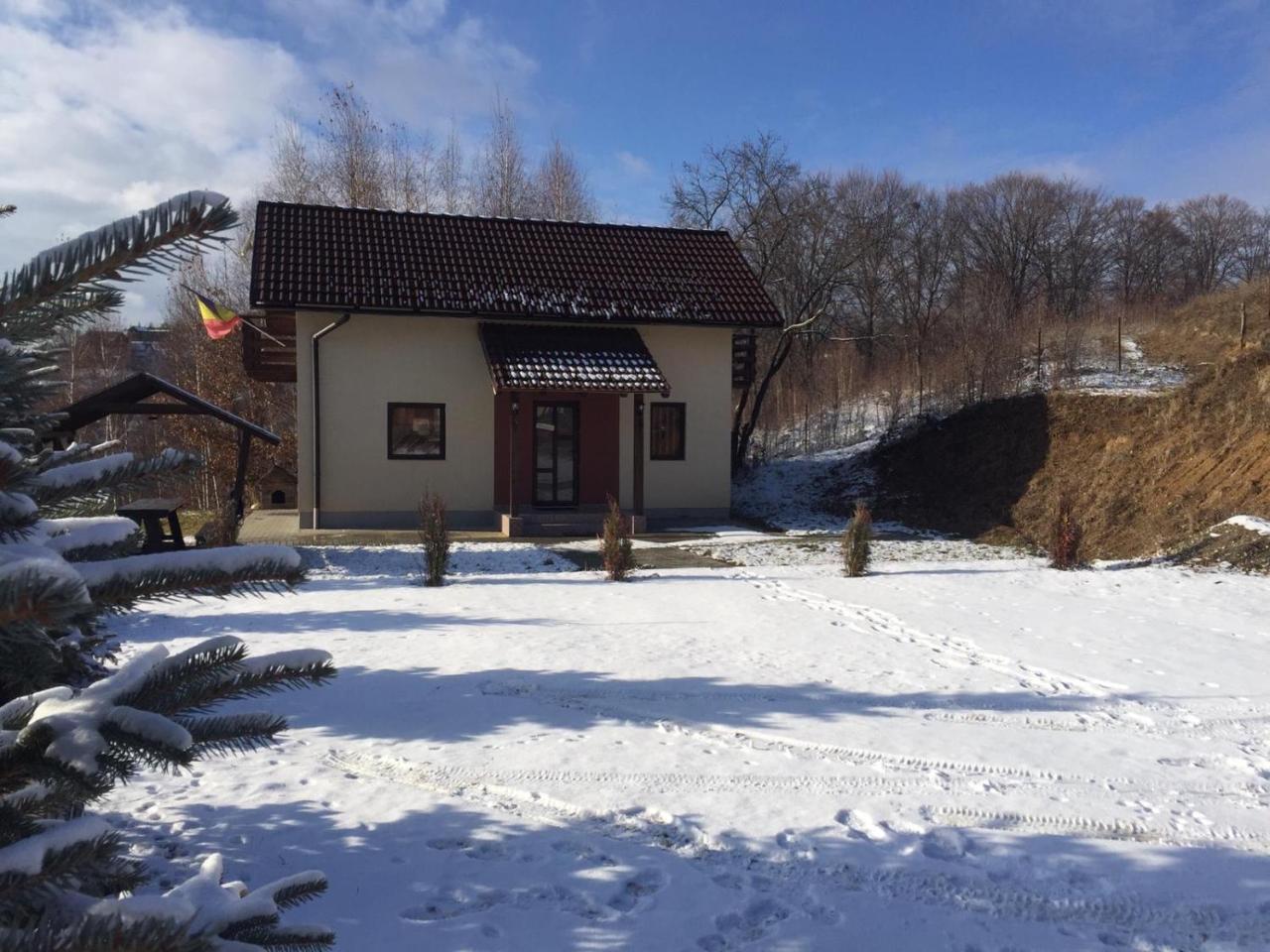 Cabana 7 Brazi Poiana Mărului Exterior foto