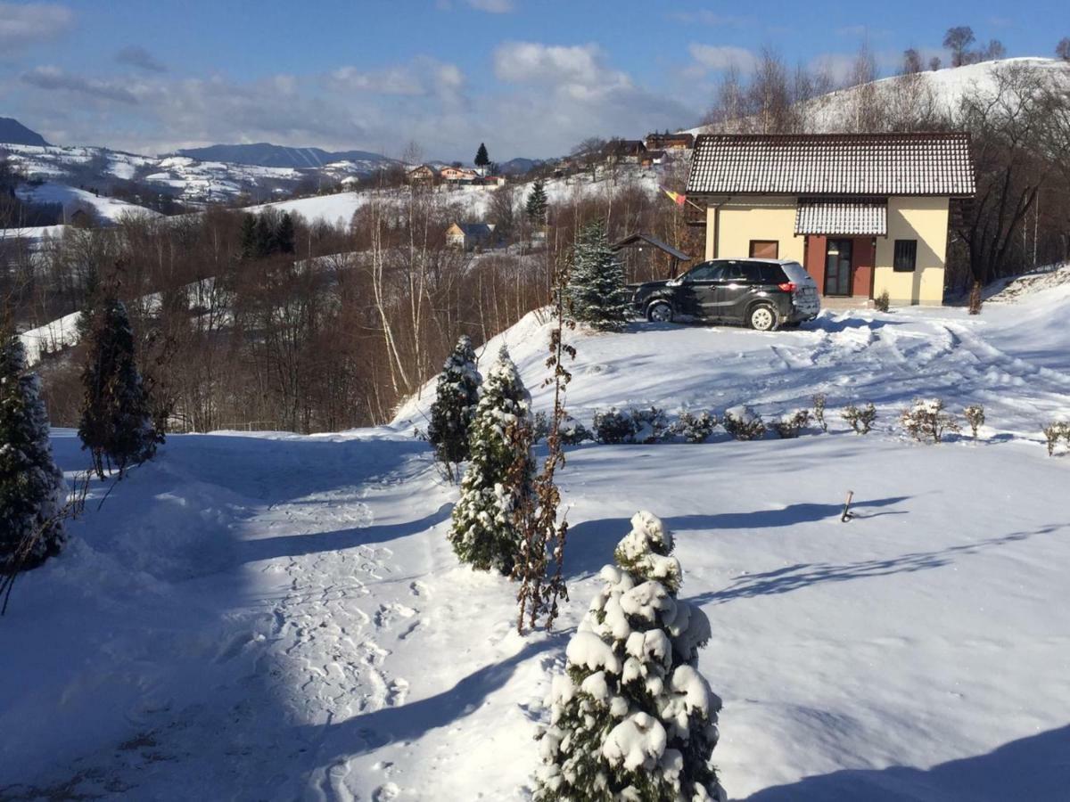 Cabana 7 Brazi Poiana Mărului Exterior foto